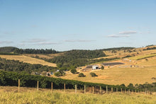 Load image into Gallery viewer, Brazil-Fazenda Santa Clara-Anaerobic Natural Microlot