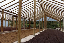 Load image into Gallery viewer, Brazil-Fazenda Santa Clara-Anaerobic Natural Microlot