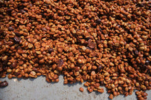Load image into Gallery viewer, Costa Rica Las Lajas Micromill | Honey Processed Coffee