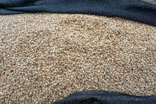 Load image into Gallery viewer, TANZANIA-Luyombe- Peaberry-Microlt - Fully Washed