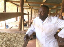 Load image into Gallery viewer, Kenya Mutitu Kirinyaga | AA Coffee | MICROLOT | Single Origin Coffee