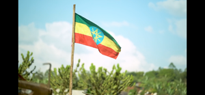Ethiopian Yirgacheffe (Africa)