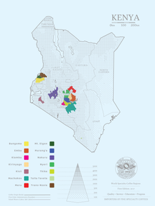 Kenya Uteuzi Jimbo - Kirinyaga - AA/Regional Select (Africa)