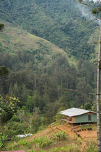 Load image into Gallery viewer, Papua New Guinea-FTO Chuave ORGANIC (Oceania)