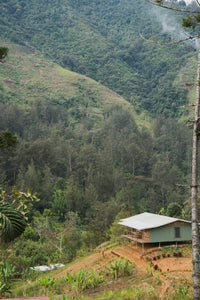 Papua New Guinea-FTO Chuave ORGANIC (Oceania)